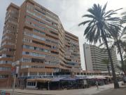 Local, Les Maravelles, Palma de Mallorca