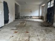 Local, Levante, Córdoba