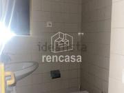 Local, Lleida
