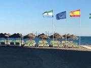 Local, Pacífico, Málaga