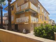 Local, Los Europeos, Torrevieja