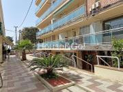 Local, Malgrat de Mar