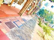 Local, Marbesa, Marbella