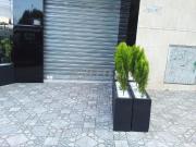 Local Mazola à louer