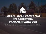 Local Moche