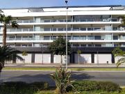 Local, Motril