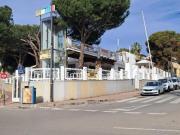 Local, Nueva Andalucía, Marbella