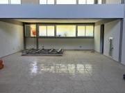 Local nuevo a estrenar