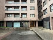 Local, O Castro, Vigo