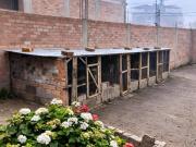 LOCAL O TERRENO INDUSTRIAL EN ALQUILER – AV. PRINCIPAL YURA