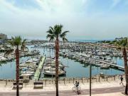 Local, Palma de Mallorca