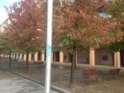 Local, Pamplona/Iruña