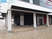Local, Pamplona/Iruña