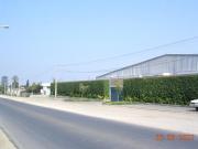 LOCAL PARA INDUSTRIA ALMACEN Y OFICINAS