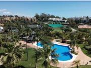 Local, Paraiso Barronal, Estepona