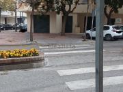 Local, Parque Central, Estepona