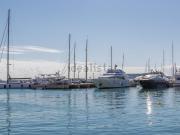 Local, Paseo Marítimo, Palma de Mallorca