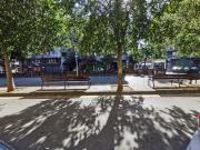 Local, Pineda de Mar