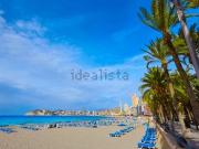 Local, Playa de los Locos, Torrevieja