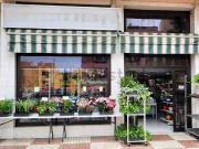 Local, Plaza de toros, Marbella