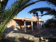 Local, Prosperidad La Cruz, Aspe