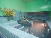 Local, Recogidas, Granada