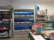 LOCAL REFORMADO EN PLENO CENTRO