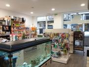 LOCAL REFORMADO EN PLENO CENTRO