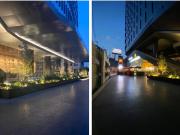 Local Renta Polanco 1,621.50 m2 Nivel 12