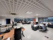 Local, Renteria / Errenteria