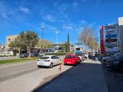 Local, Sa Indiotería Son Castelló, Palma de Mallorca