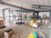 Local, San Crispín, Elche / Elx