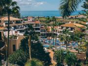 Local, San Miguel de Abona