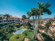 Local, San Miguel de Abona