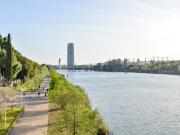 Local, San Vicente, Sevilla