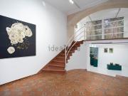 Local, Sant Jaume, Palma de Mallorca