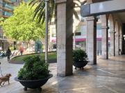 Local, Sant Jaume, Palma de Mallorca