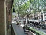 Local, Sant Nicolau, Palma de Mallorca