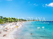 Local, Santa Eulalia del Río