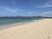 Local, Santa Margalida