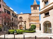 Local, Sindicat, Palma de Mallorca