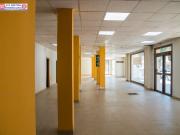 Local situado a 100 metros del Hospital Centro Mancha de...