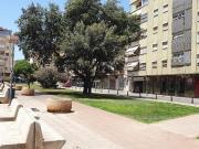 Local, Sta Catalina El Jonquet, Palma de Mallorca