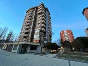 Local, Valladolid