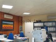 Local, Vilafranca del Penedès