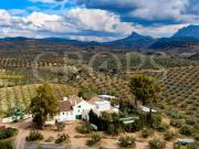 Local, Villanueva de la Concepcion