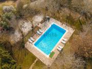 Local, Villanueva de Tapia