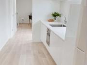 LOCAL VIVIENDA SIN CÉDULA EN ALFONS EL MAGNANIM