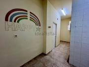 Local, Zona Deportiva Nuevo Altabix, Elche / Elx