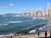 Local, Zona Sierra Helada, Benidorm